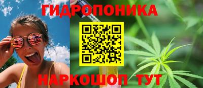 apvp Коммунар
