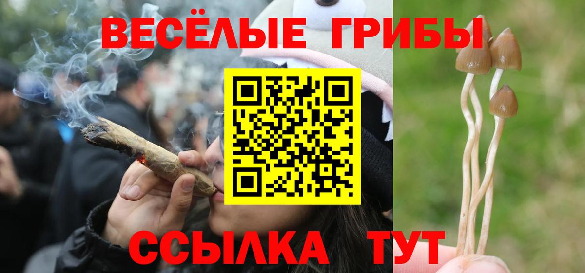 Псилоцибиновые грибы MAGIC MUSHROOMS  Вход с VPN  купить наркотик  Южно-Сахалинск 